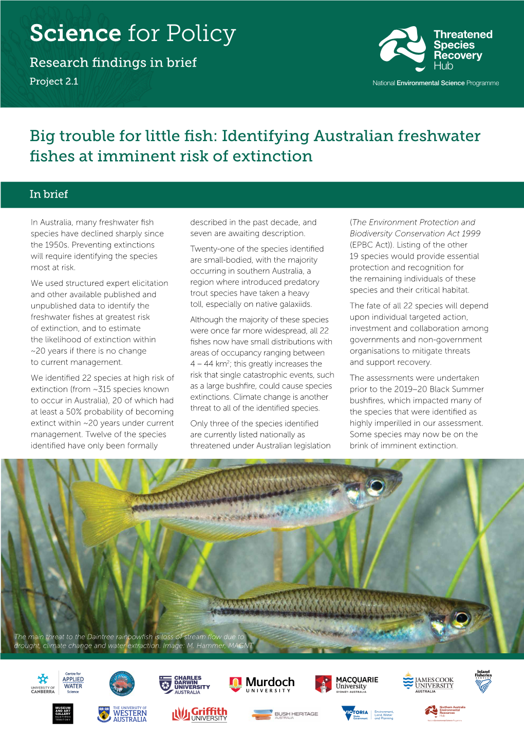 Fact Sheet: Big Trouble for Little Fish