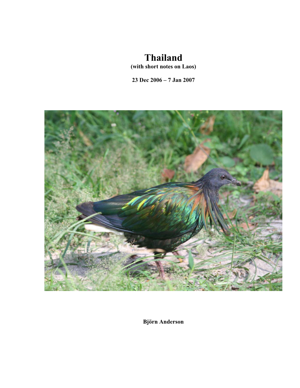 China Birding Report Template