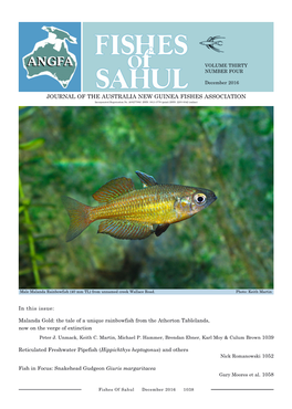 Malanda Gold: the Tale of a Unique Rainbowfish from the Atherton Tablelands, Now on the Verge of Extinction Peter J