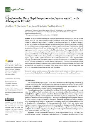 Is Juglone the Only Naphthoquinone in Juglans Regia L. with Allelopathic Effects?