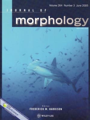 Olfactory Morphology of Carcharhinid and Sphyrnid Sharks: Does the Cephalofoil Confer a Sensory Advantage?