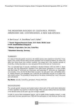 The Mountain Avocado of Costa-Rica. Persea Americana Var