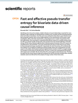 Fast and Effective Pseudo Transfer Entropy for Bivariate Data-Driven