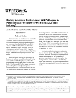 Redbay Ambrosia Beetle-Laurel Wilt Pathogen: a Potential Major Problem for the Florida Avocado Industry1