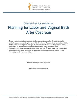 Clinical Practice Guideline: Planning for Labor and Vaginal Birth After Cesarean