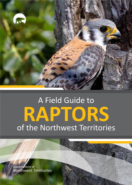 Field Guide to RAPTORS of the Northwest Territories 2 |