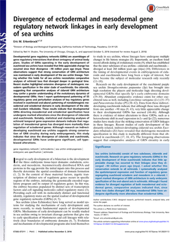 Divergence of Ectodermal and Mesodermal Gene Regulatory Network Linkages in Early Development of Sea Urchins