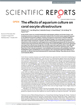 The Effects of Aquarium Culture on Coral Oocyte Ultrastructure