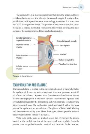 TEAR PRODUCTION and DRAINAGE the Lacrimal Gland Is Located in the Superolateral Aspect of the Eyelid Below the Eyebrow(S)