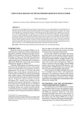 Structural Biology of the Dystrophin-Deficient Muscle Fiber