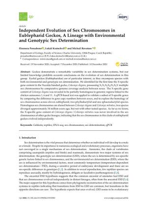 Independent Evolution of Sex Chromosomes in Eublepharid Geckos, a Lineage with Environmental and Genotypic Sex Determination