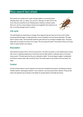 Rice Weevil Fact Sheet