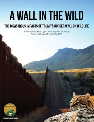 The Disastrous Impacts of Trump's Border Wall on Wildlife