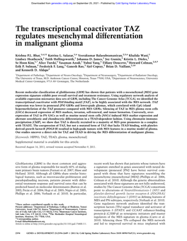 The Transcriptional Coactivator TAZ Regulates Mesenchymal Differentiation in Malignant Glioma