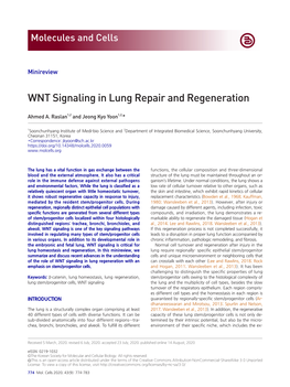 WNT Signaling in Lung Repair and Regeneration Ahmed A