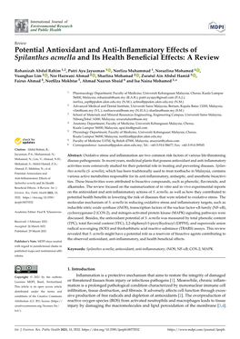 Potential Antioxidant and Anti-Inflammatory Effects of Spilanthes Acmella and Its Health Beneficial Effects