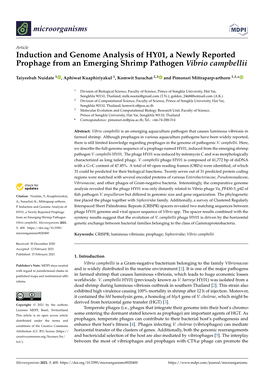 Induction and Genome Analysis of HY01, a Newly Reported Prophage from an Emerging Shrimp Pathogen Vibrio Campbellii