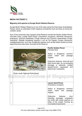 MEDIA FACTSHEET C Migratory Bird Species at Sungei Buloh Wetland