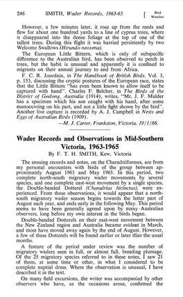 Wader Records and Observations in Mid-Southern Victoria, 1963-1965 by F