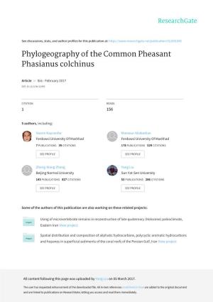 Phylogeography of the Common Pheasant Phasianus Colchinus