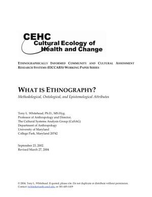 WHAT IS ETHNOGRAPHY? Methodological, Ontological, and Epistemological Attributes