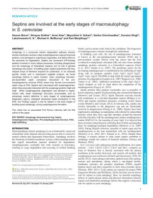 Septins Are Involved at the Early Stages of Macroautophagy in S