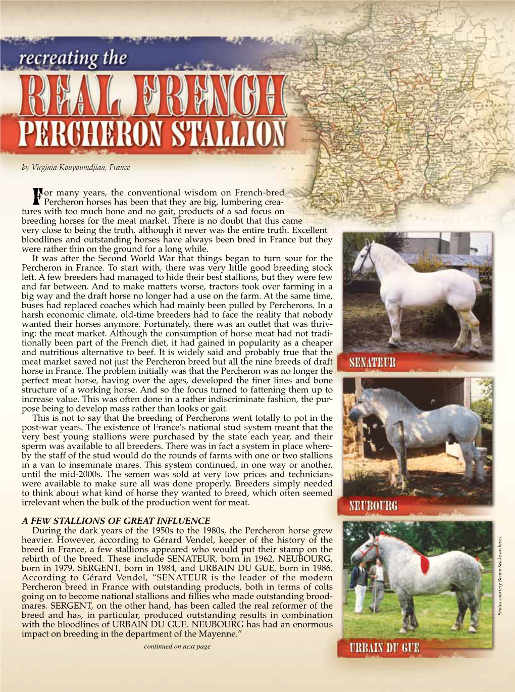 For Many Years, the Conventional Wisdom on French-Bred Percheron
