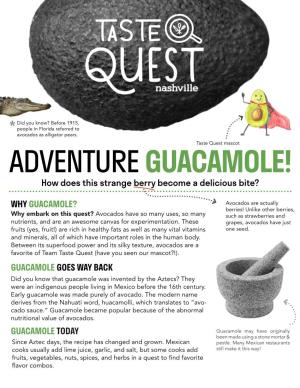 ADVENTURE GUACAMOLE! How Does This Strange Berry Become a Delicious Bite?