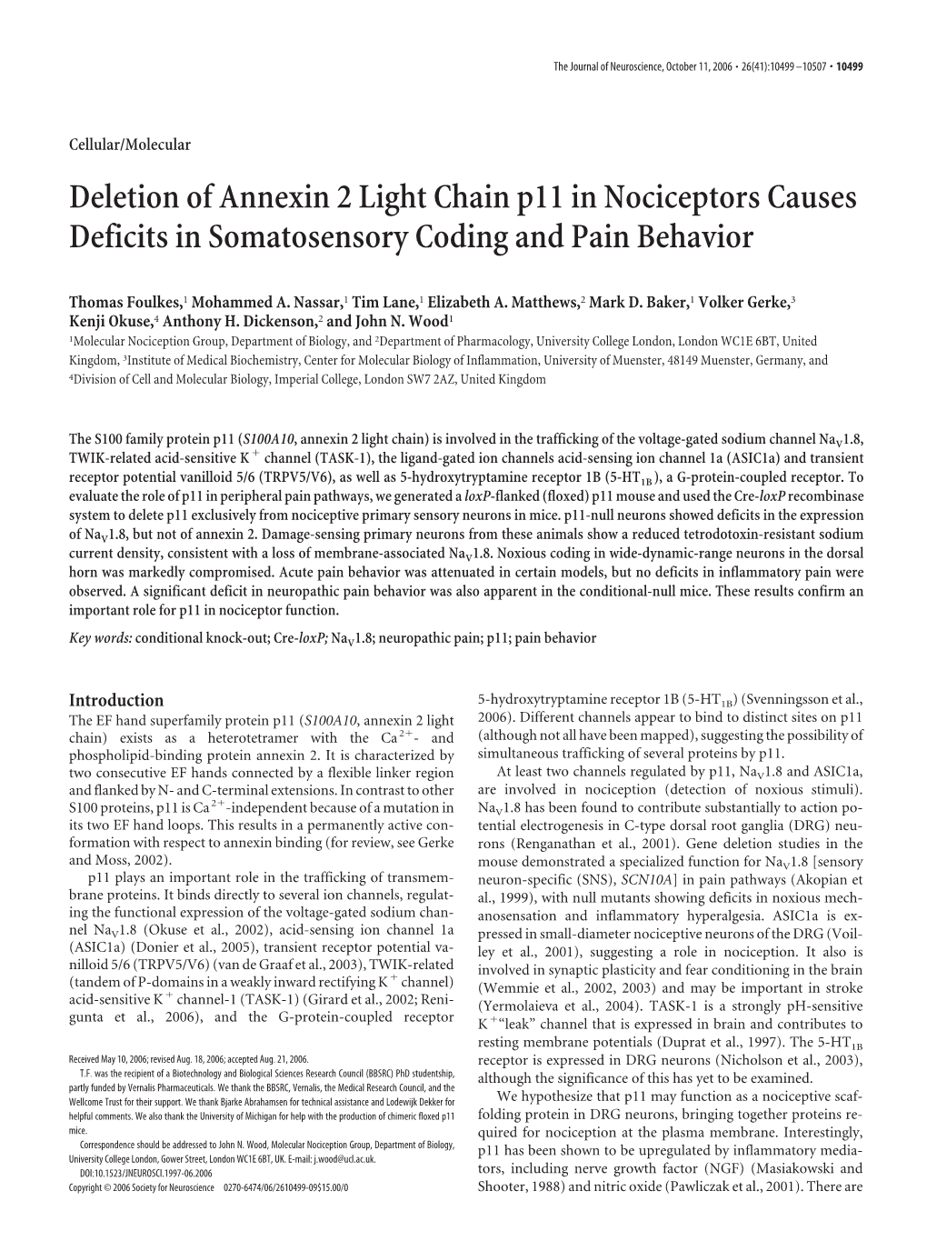 Deletion of Annexin 2 Light Chain P11 in Nociceptors Causes Deficits in Somatosensory Coding and Pain Behavior