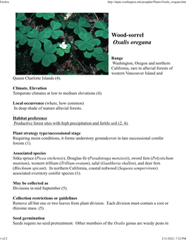 Wood-Sorrel Oxalis Oregana