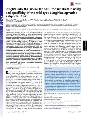 Insights Into the Molecular Basis for Substrate Binding and Specificity of the Wild-Type L-Arginine/Agmatine Antiporter Adic