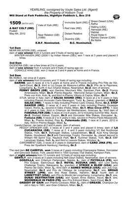 YEARLING, Consigned by Voute Sales Ltd. (Agent) the Property of Holborn Trust Will Stand at Park Paddocks, Highflyer Paddock L, Box 218