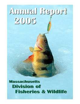 FY2005 Annual Report