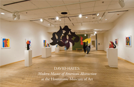 Housatonic Museum of Art Presents David Hayes: Modern Master of American Abstraction