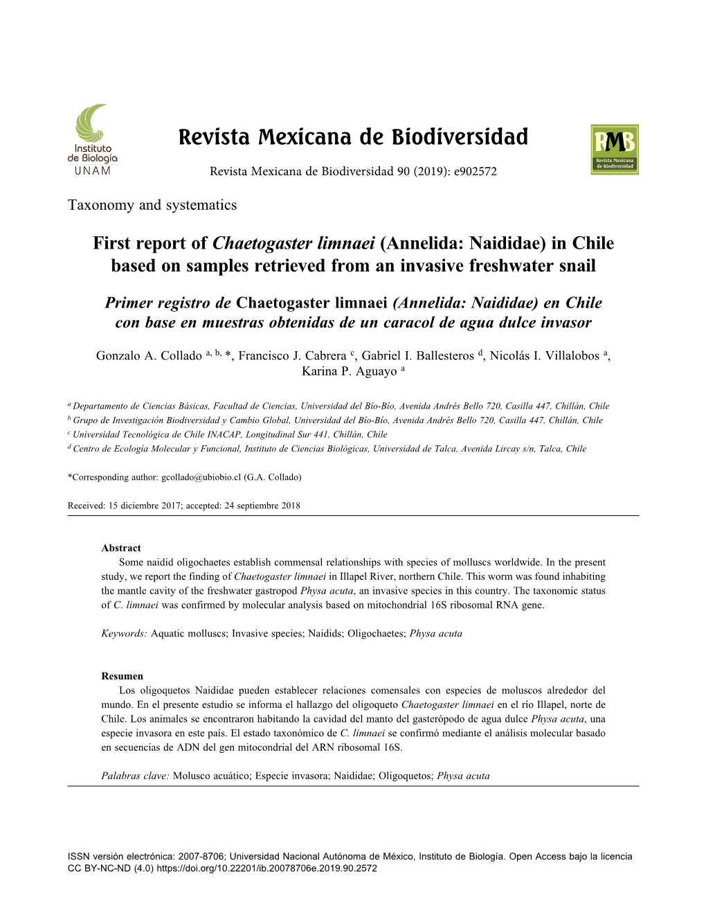 Primer Registro De Chaetogaster Limnaei (Annelida: Naididae) En Chile Con Base En Muestras Obtenidas De Un Caracol De Agua Dulce Invasor