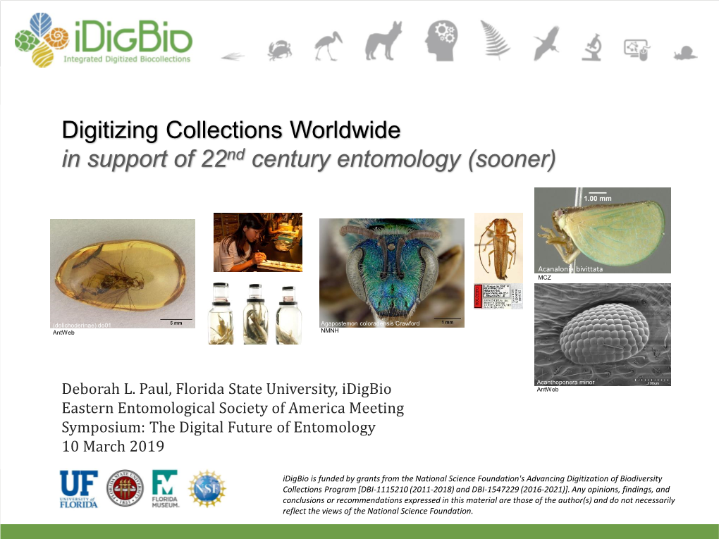 Digitizing Collections Worldwide in Support of 22Nd Century Entomology (Sooner)