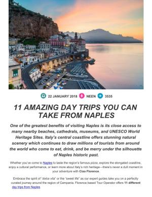 11 Amazing Day Trips You Can Take from Naples