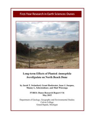 Long-Term Effects of Planted Ammophila Breviligulata on North Beach Dune