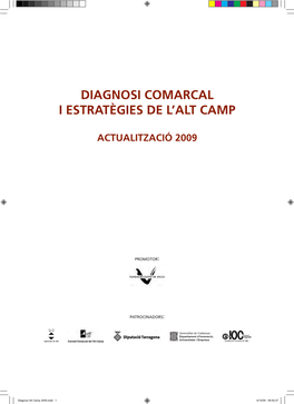 Diagnosi Comarcal I Estratègies De L'alt Camp Actualització 2009