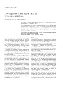 Development of the Fruit Bodies of Gyromitra Esculenta