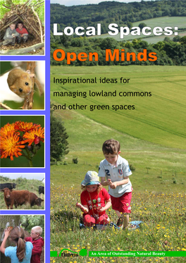 Local Spaces Open Minds Report