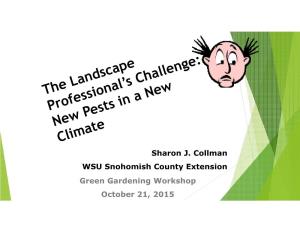Sharon J. Collman WSU Snohomish County Extension Green Gardening Workshop October 21, 2015 Definition