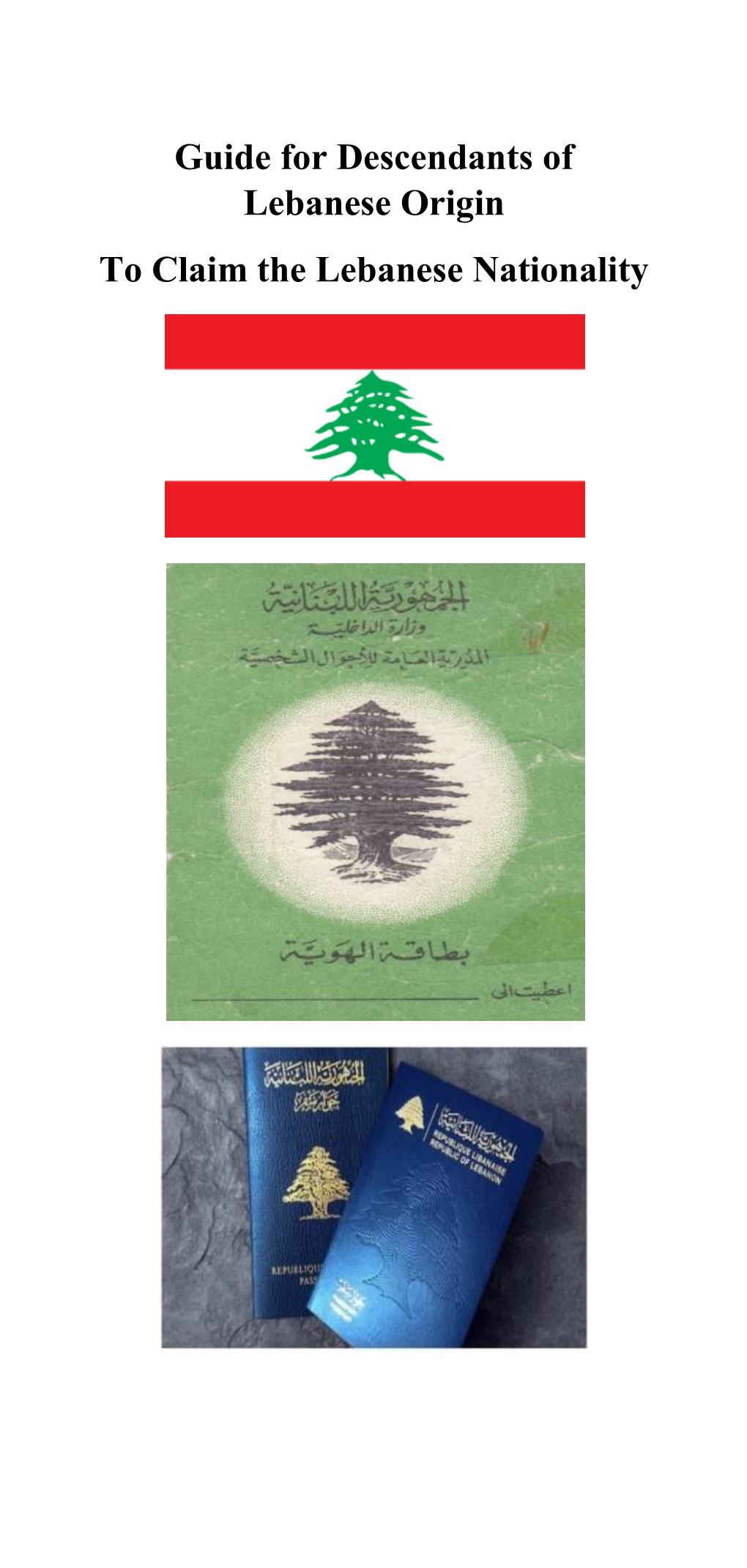 Guide For Descendants Of Lebanese Origin To Claim The Lebanese Nationality Docslib