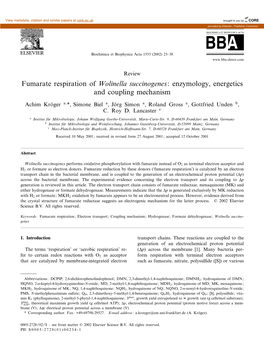 Fumarate Respiration of Wolinella Succinogenes: Enzymology, Energetics and Coupling Mechanism