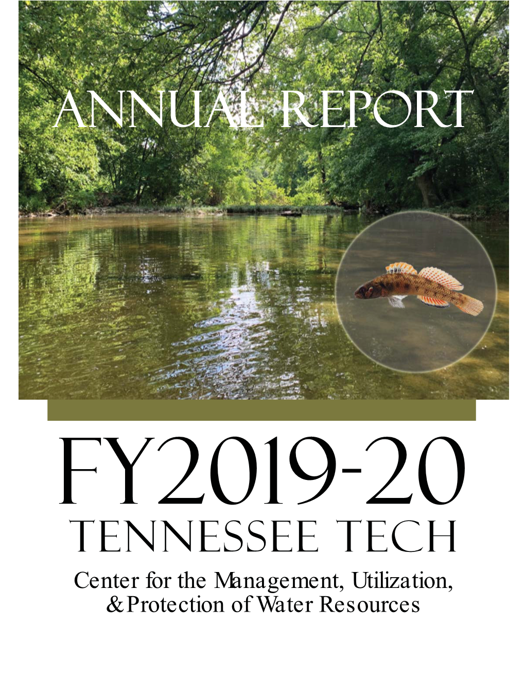 Annual Report and Updates the Website