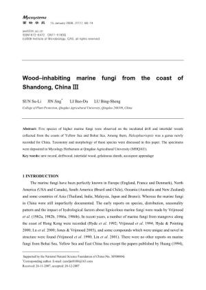 Wood–Inhabiting Marine Fungi from the Coast of Shandong Ⅱ
