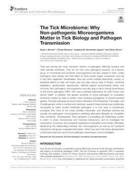 Why Non-Pathogenic Microorganisms Matter in Tick Biology and Pathogen Transmission