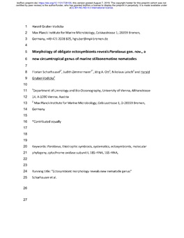 Morphology of Obligate Ectosymbionts Reveals Paralaxus Gen. Nov., a New