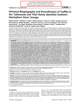 Historical Biogeography and Diversification of Truffles in the Tuberaceae and Their Newly Identified Southern Hemisphere Sister Lineage