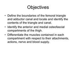 Anterior and Medial Thigh